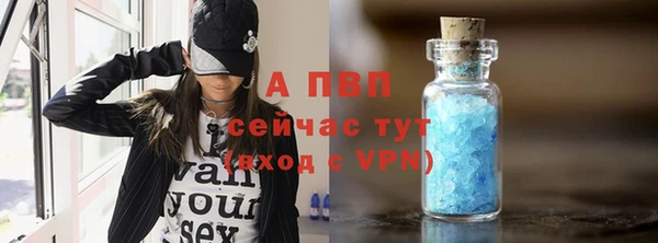 эйфоретик Дмитров