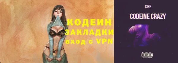 индика Елабуга