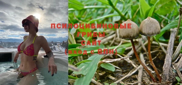 эйфоретик Дмитров