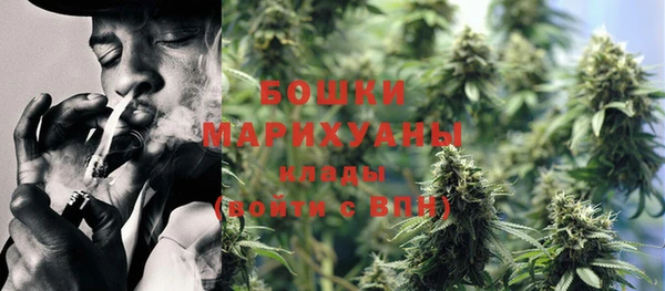 эйфоретик Дмитров