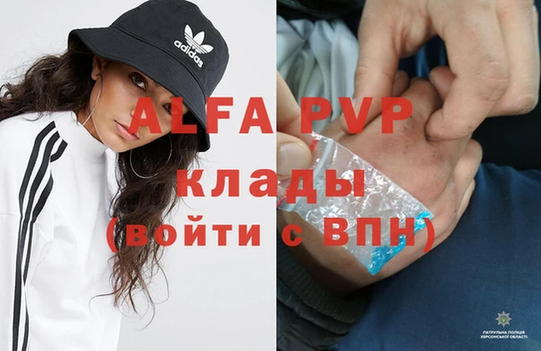 кокс Дмитриев