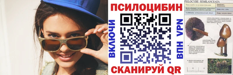Галлюциногенные грибы ЛСД  закладка  Ленинградская 
