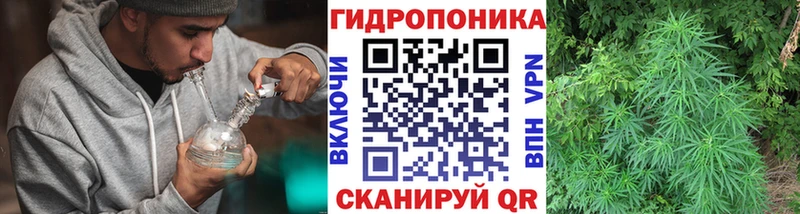 Каннабис тримм OMG онион Ленинградская